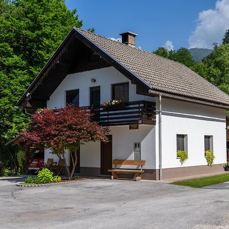 Apartma Pri Lipi Bohinj Buitenkant foto