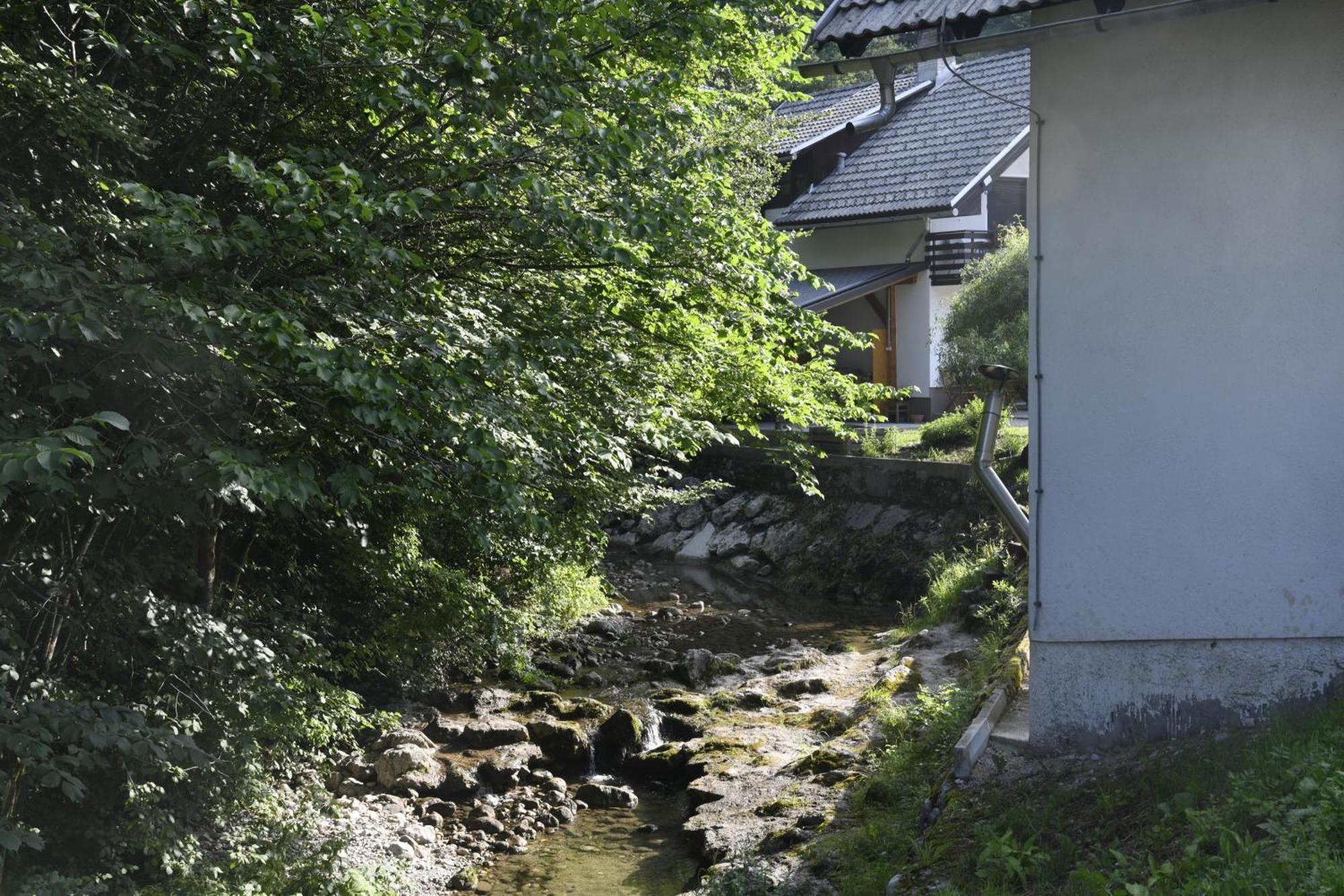 Apartma Pri Lipi Bohinj Buitenkant foto