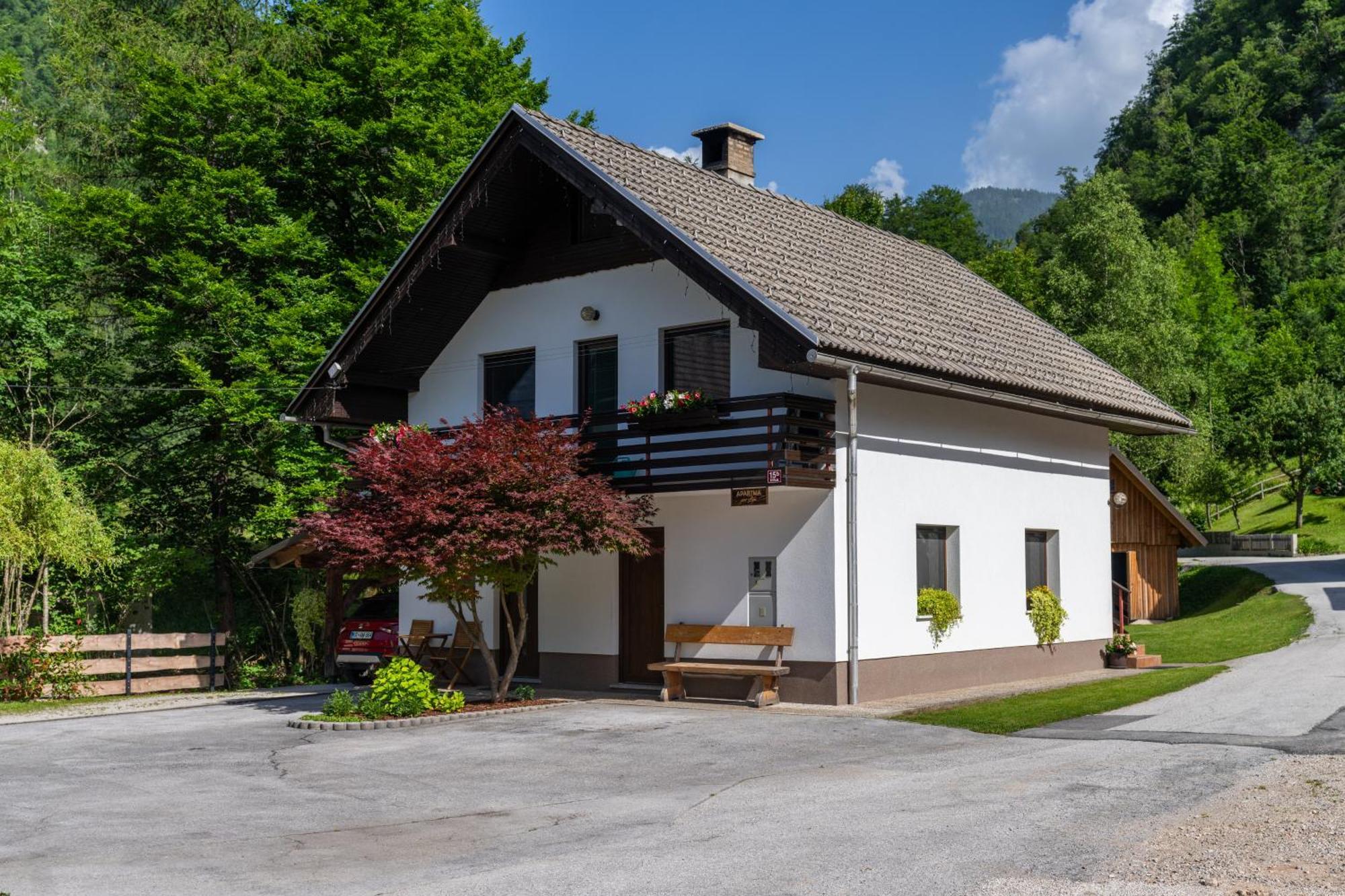 Apartma Pri Lipi Bohinj Buitenkant foto