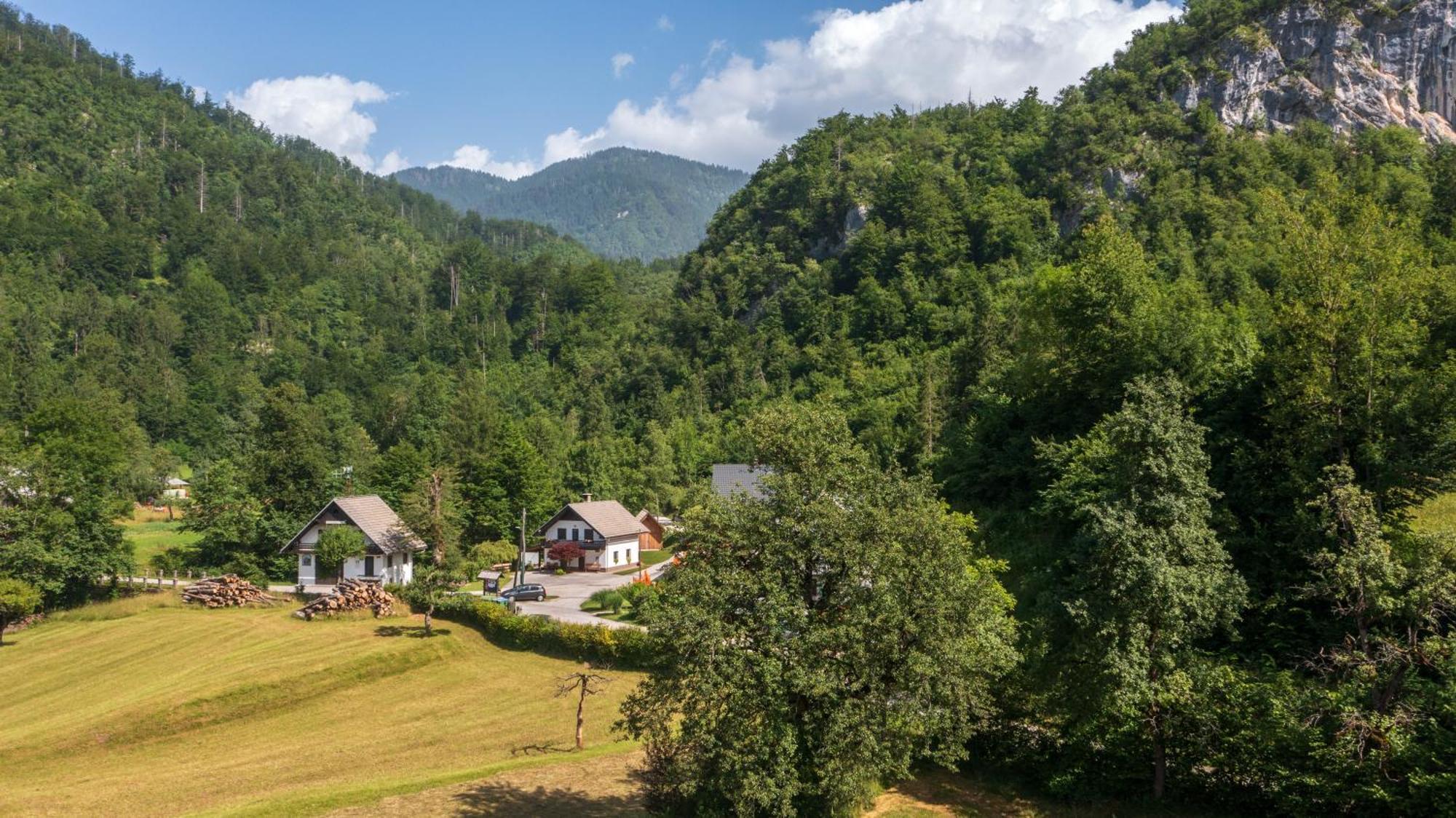 Apartma Pri Lipi Bohinj Buitenkant foto